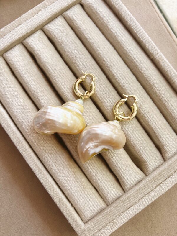 Argollas caracol